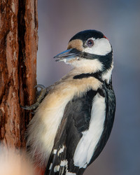 Similar image 21789637