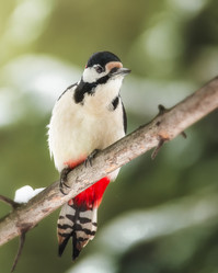 Similar image 21789638