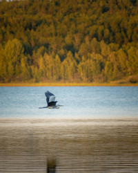 Similar image 21789639