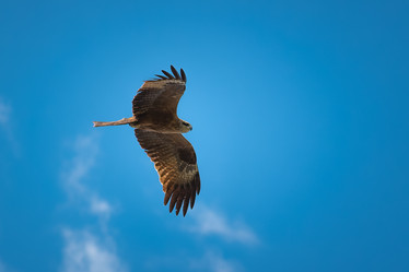 Similar image 21789640