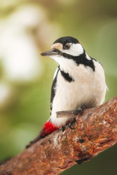 Similar image 21789641