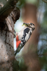 Similar image 21789642