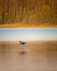 Similar image 21789644