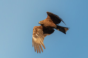 Similar image 21789645