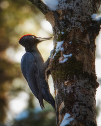 Similar image 21789653