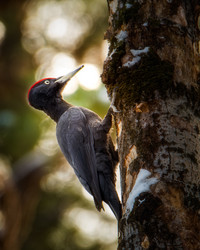 Similar image 21789654