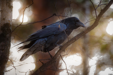 Similar image 21789657