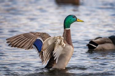 Similar image 21789658