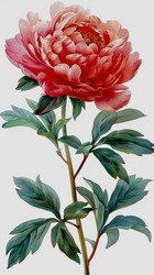 Similar image 21789351