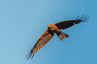 Similar image 21789659