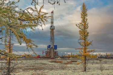 Similar image 21789965