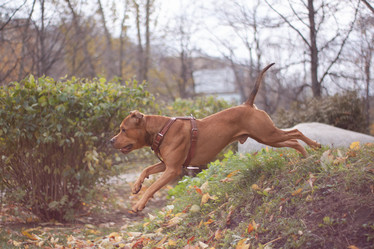 Similar image 21789357