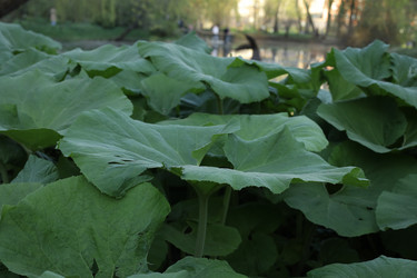 Similar image 21789358