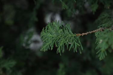 Similar image 21789359