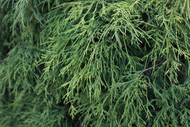 Similar image 21789360