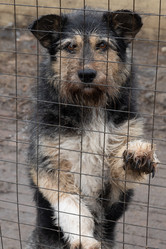 Similar image 21789364