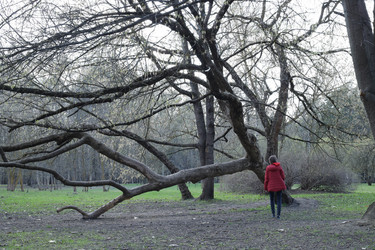 Similar image 21789809