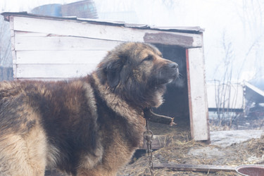 Similar image 21789366