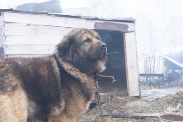 Similar image 21789367