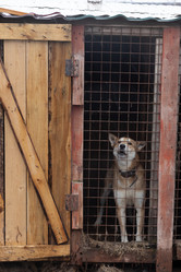 Similar image 21789368