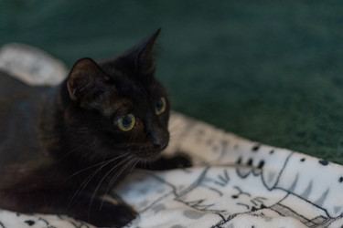 Similar image 21789810