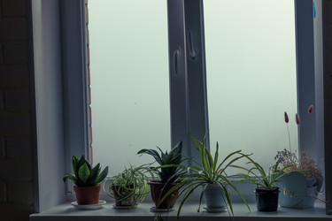 Similar image 21789812