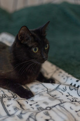 Similar image 21789813