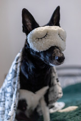 Similar image 21789374