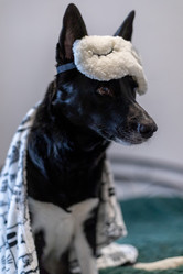 Similar image 21789375