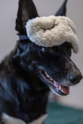 Similar image 21789376