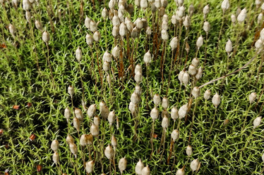 Similar image 21789982