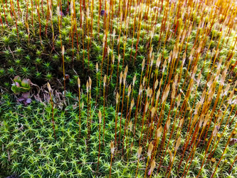 Similar image 21789983