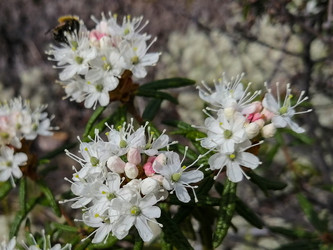 Similar image 21789984