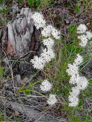 Similar image 21789985