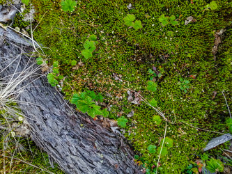 Similar image 21789986