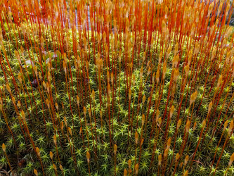 Similar image 21789993