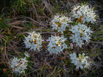 Similar image 21789995