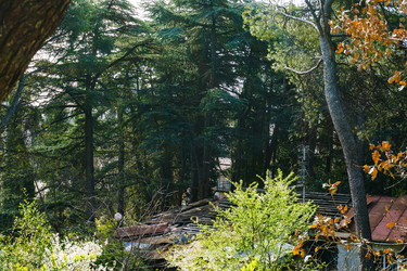 Similar image 21803105