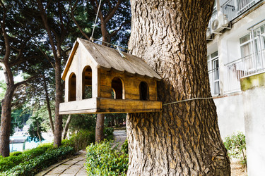 Similar image 21803106