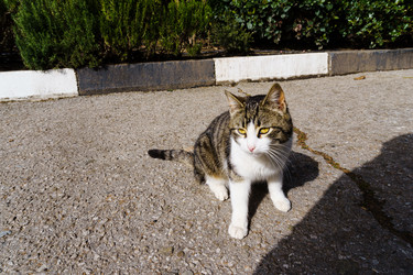 Similar image 21804897