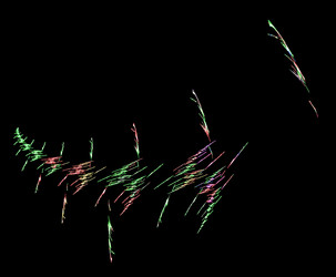 Similar image 21792867