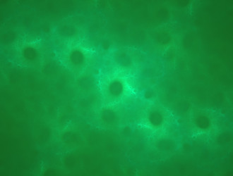 Similar image 21792316