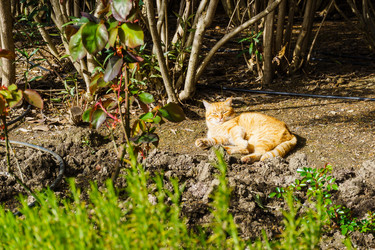 Similar image 21804899