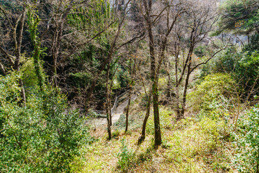 Similar image 21804900