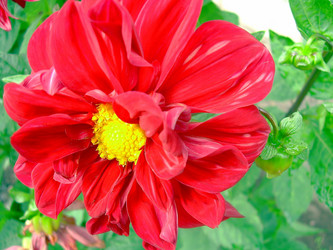 Similar image 21790160