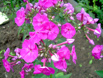 Similar image 21790161