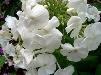 Similar image 21790163