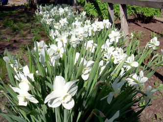 Similar image 21790164