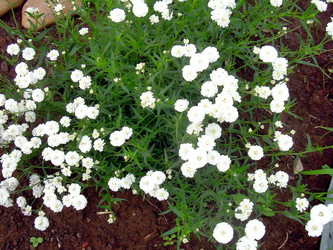 Similar image 21790165