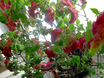 Similar image 21790166